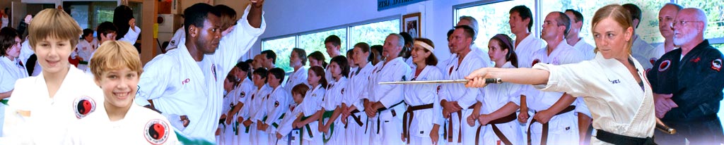 Cuong Nhu Oriental Martial Arts 
